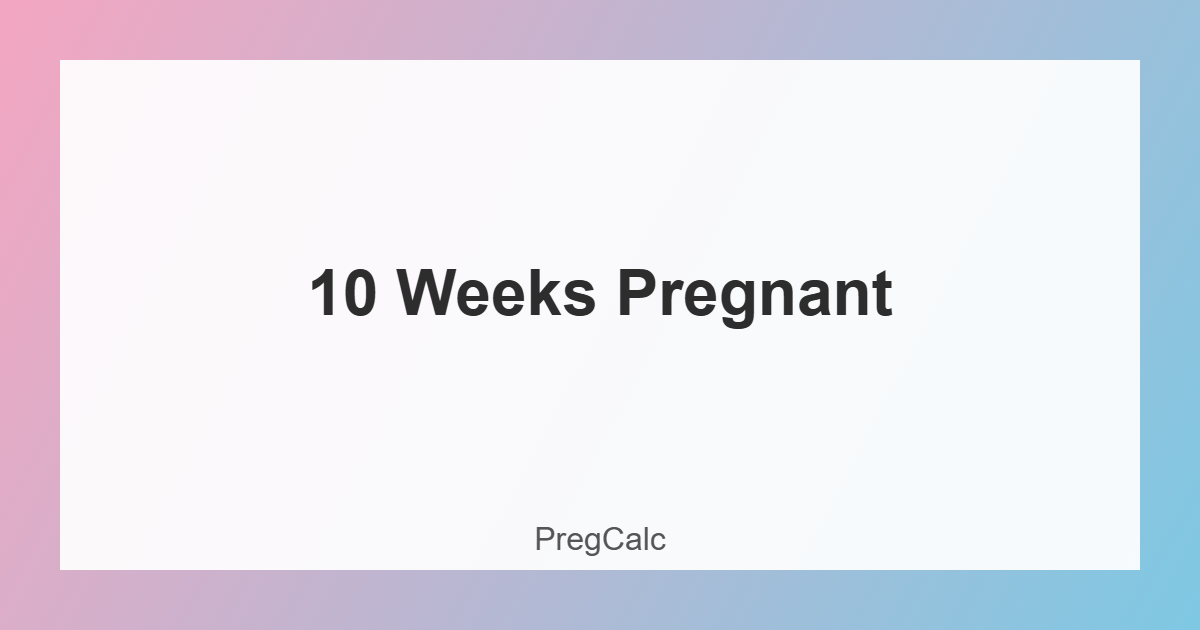 10 weeks pregnant belly and baby development illustration