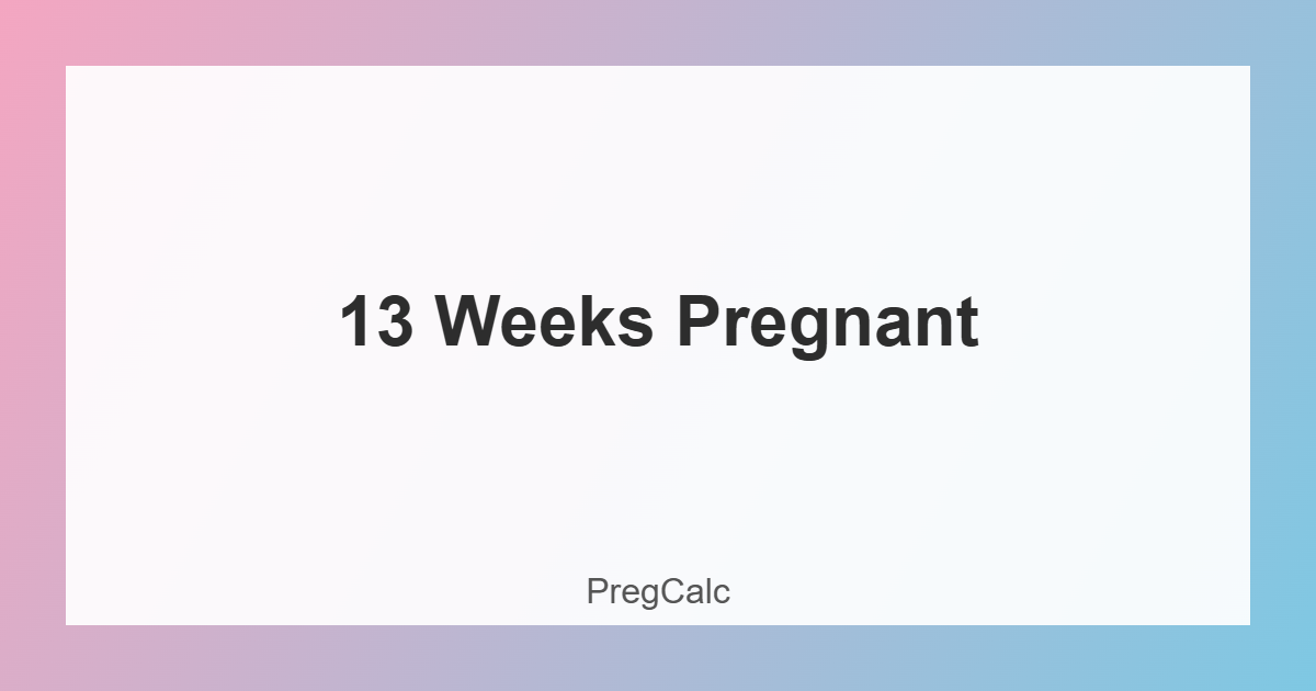 13 weeks pregnant belly and baby development illustration